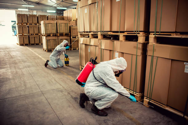 Best Pest Control Near Me  in Kaysville, UT