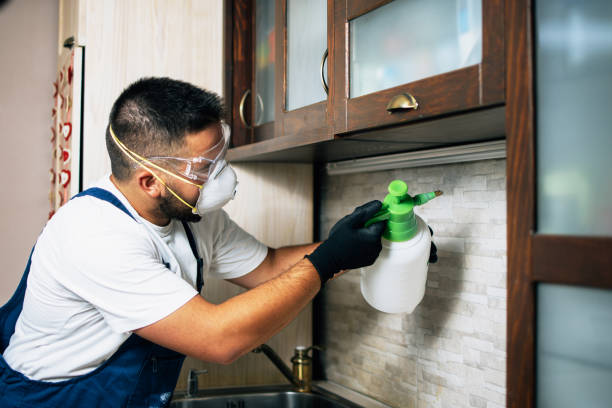 Best Mosquito Control Services  in Kaysville, UT