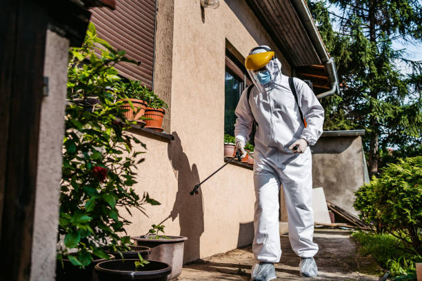 Best Wasp Removal Services  in Kaysville, UT