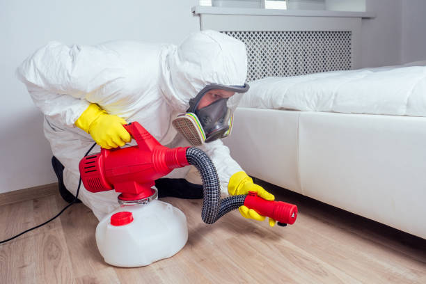 Best Commercial Pest Control Services  in Kaysville, UT