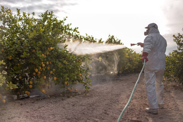 Best Insect Control  in Kaysville, UT