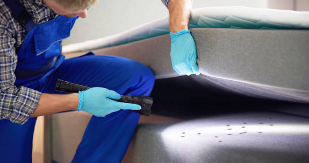Best Bed Bug Extermination  in Kaysville, UT