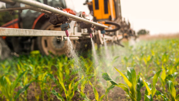 Best Commercial Pest Control Services  in Kaysville, UT